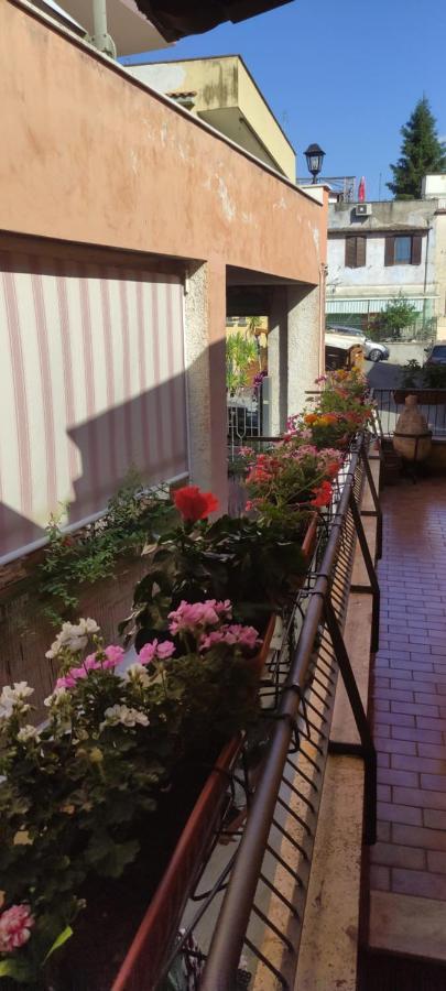 Elisa E Carla House Beautiful Apartments On The Cassia ローマ エクステリア 写真