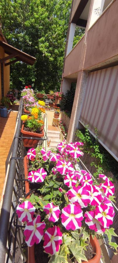 Elisa E Carla House Beautiful Apartments On The Cassia ローマ エクステリア 写真